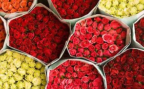 Movenpick Suriwongse Hotel Chiang Mai